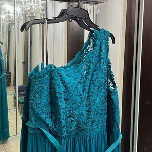 Long Davids Bridal one shoulder plus size dress